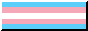 Trans flag (88x31)